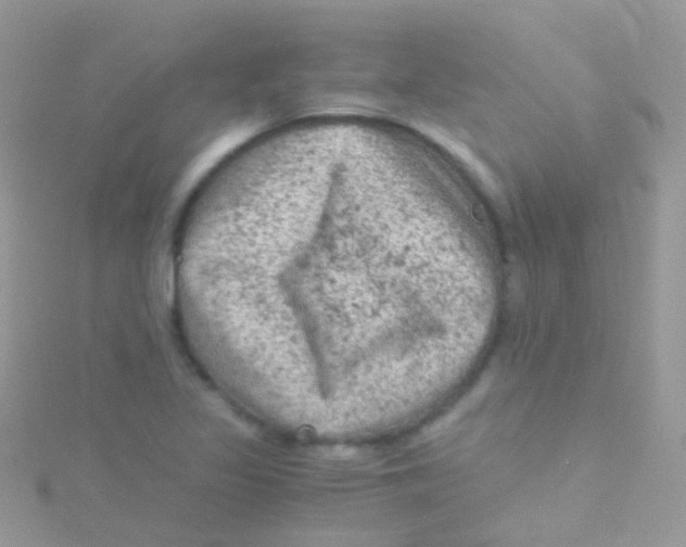 X0000115061317200911231206