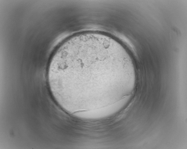 X0000115061318200911231206