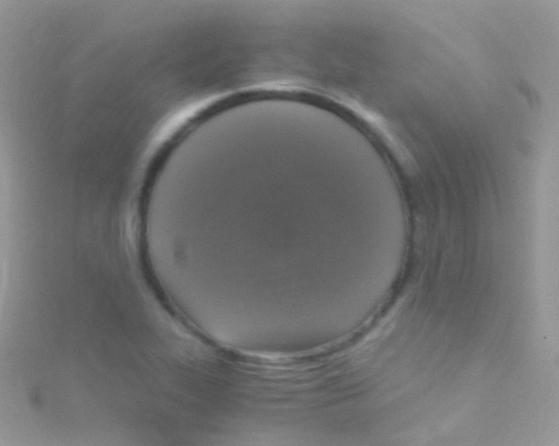 X0000115061319200911231206