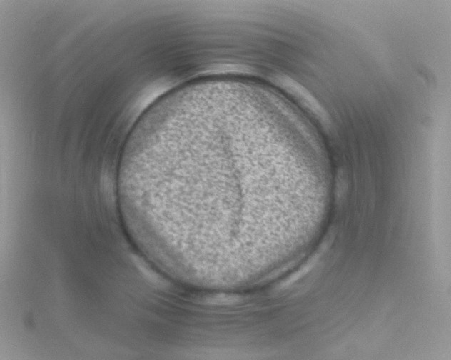 X0000115061321200911231206