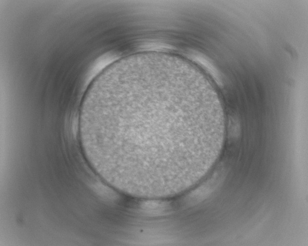 X0000115061322200911231206