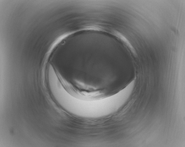 X0000115061323200911231206