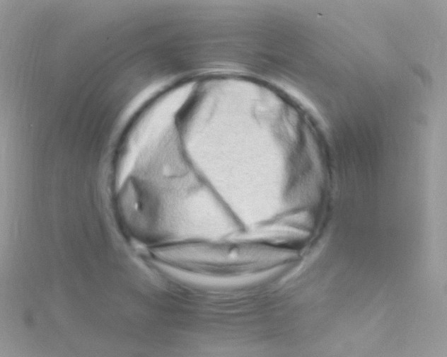 X0000115061325200911231206