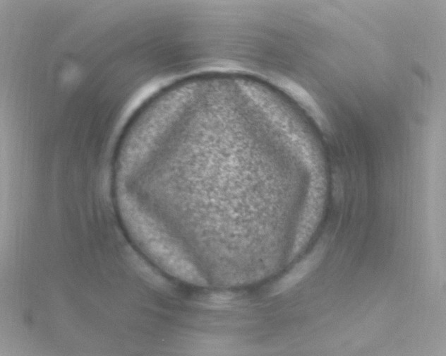 X0000115061326200911231206