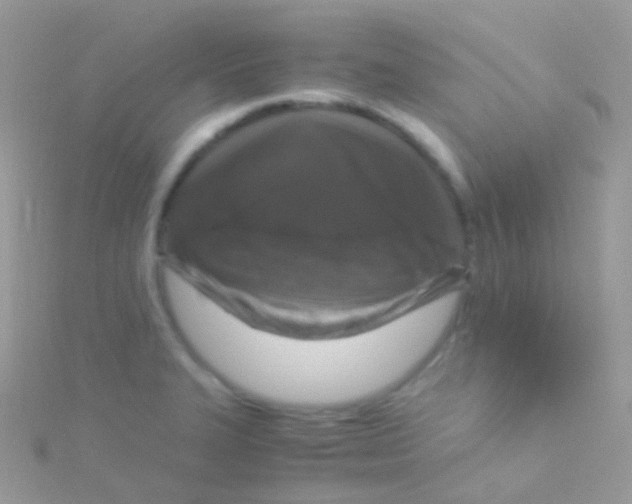 X0000115061327200911231206