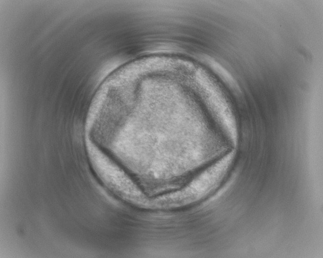 X0000115061329200911231206