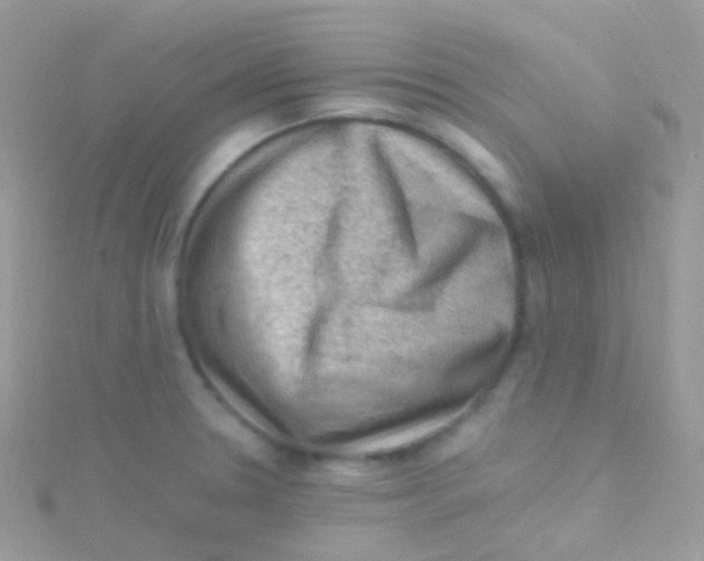 X0000115061330200911231206