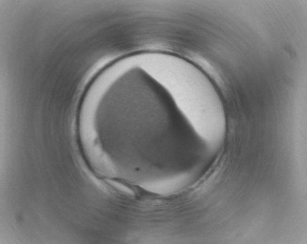 X0000115061331200911231206