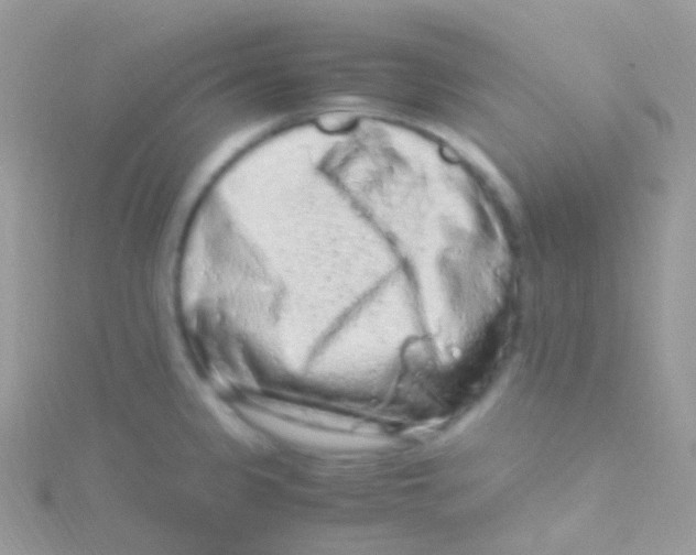 X0000115061333200911231206