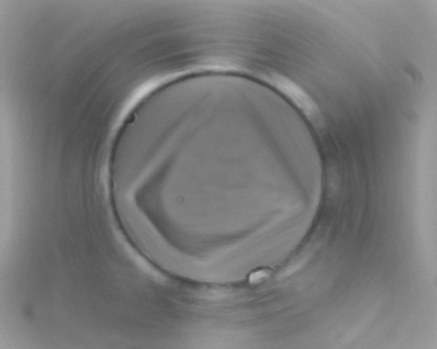 X0000115061334200911231206