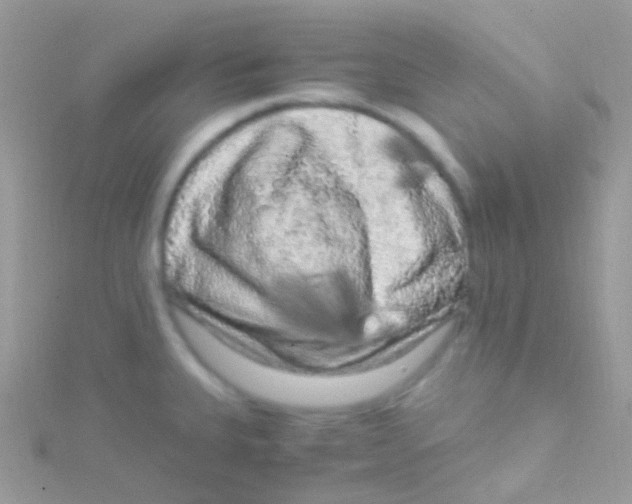 X0000115061335200911231206