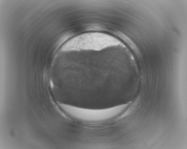 X0000115061337200911231206