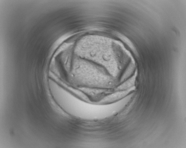 X0000115061338200911231206