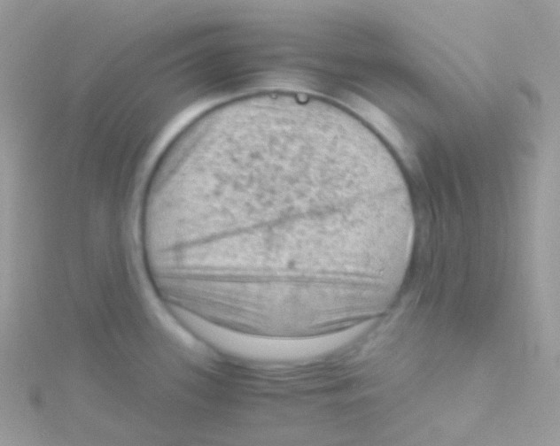 X0000115061339200911231206