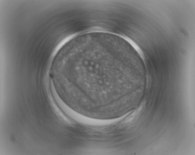 X0000115061341200911231206