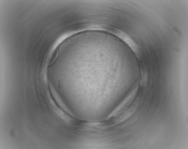 X0000115061342200911231206