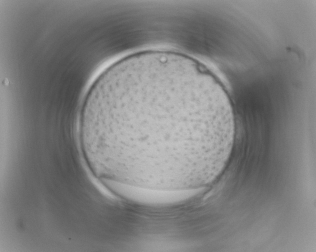 X0000115061343200911231206