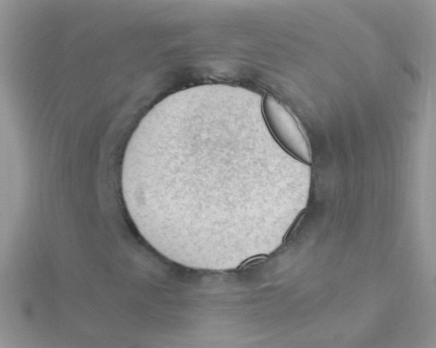 X0000115061345200911231206