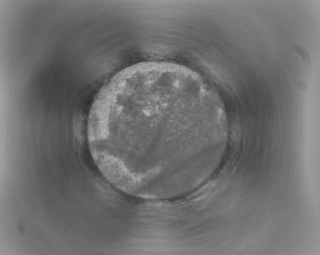 X0000115061346200911231206