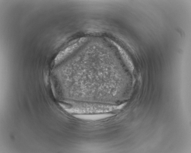 X0000115061348200911231206