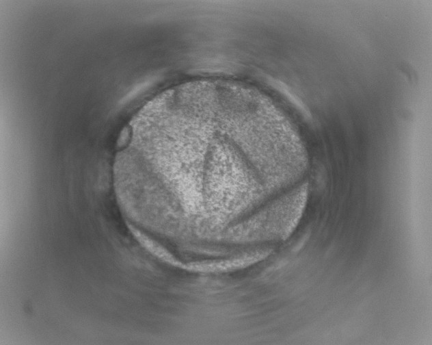 X0000115061350200911231206