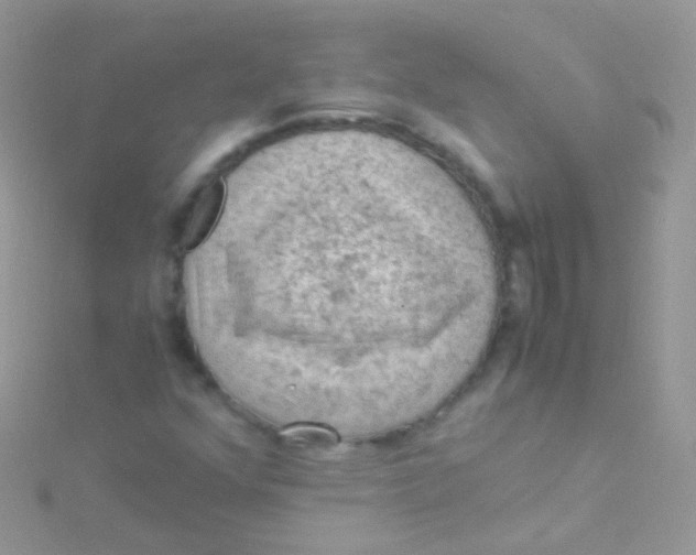 X0000115061352200911231206