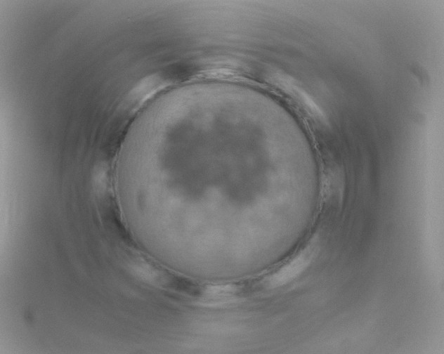 X0000115061353200911231206