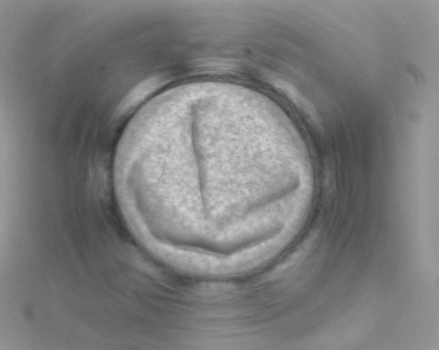 X0000115061354200911231206