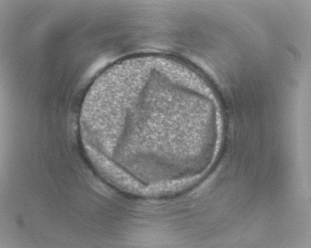 X0000115061355200911231206