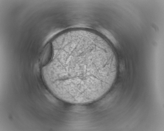 X0000115061356200911231206