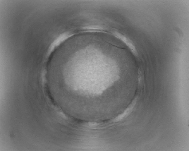 X0000115061357200911231206