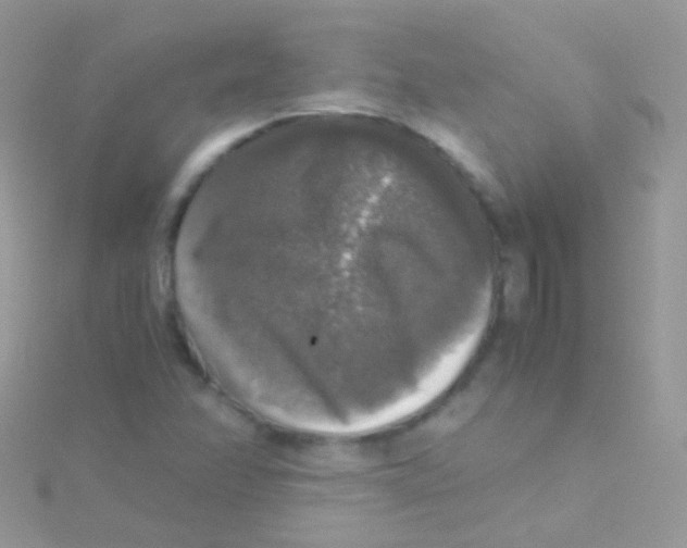 X0000115061358200911231206