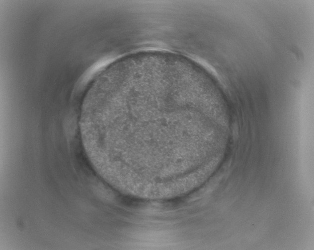 X0000115061359200911231206