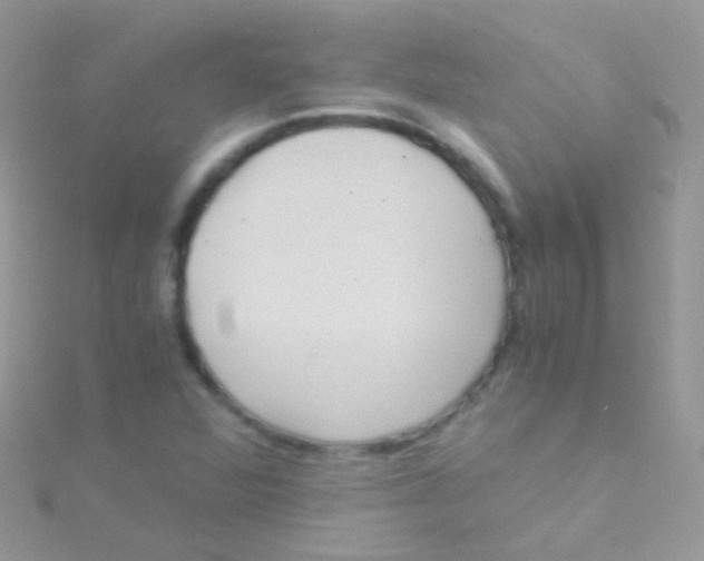 X0000115061360200911231206