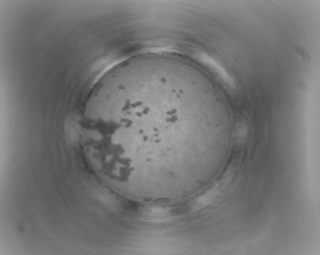 X0000115061361200911231206