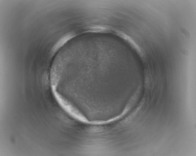 X0000115061362200911231205