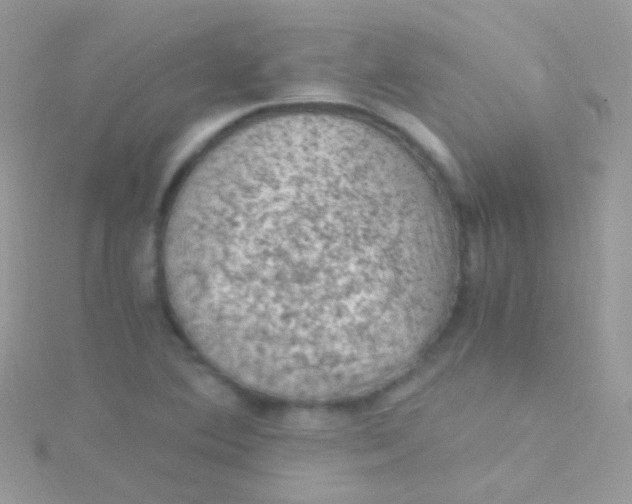 X0000115061364200911231205