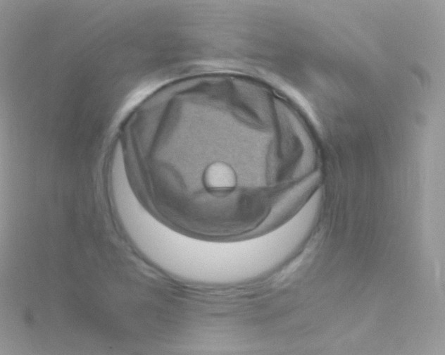 X0000115061365200911231205