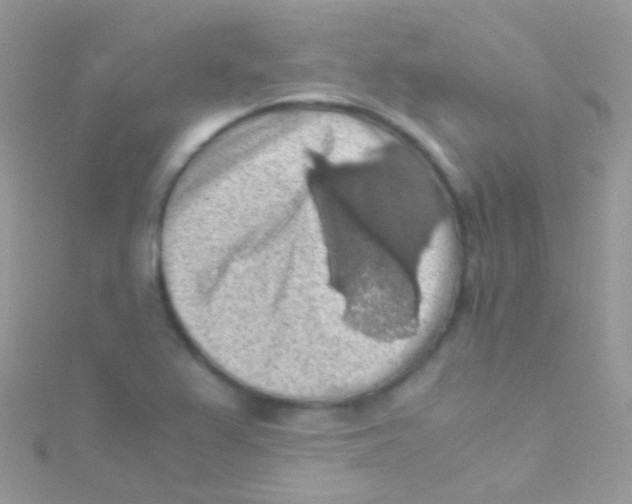 X0000115061367200911231205