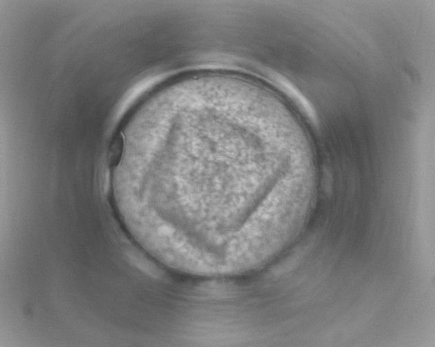 X0000115061368200911231205