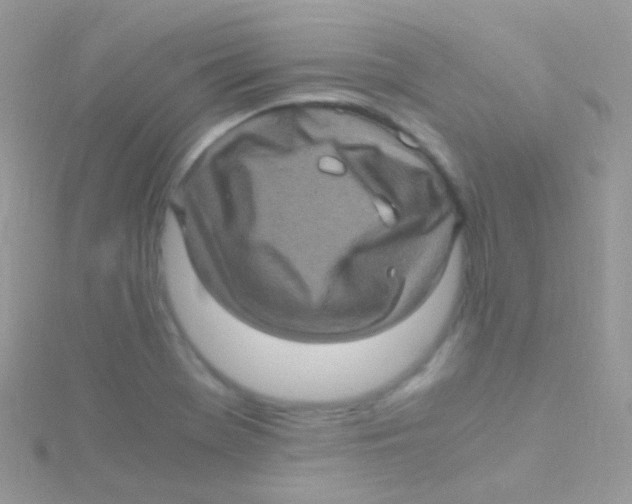 X0000115061369200911231205