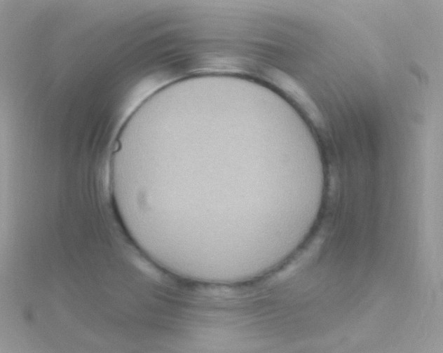 X0000115061370200911231205