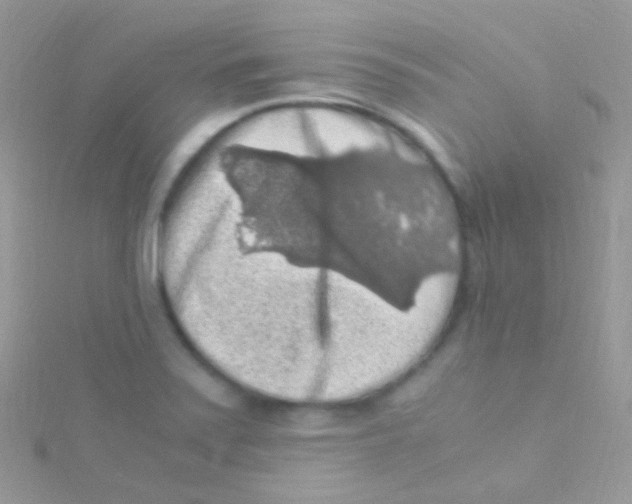 X0000115061371200911231205