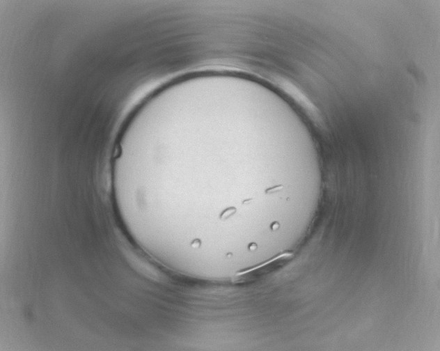 X0000115061372200911231205