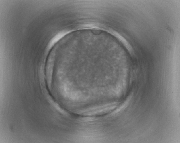 X0000115061373200911231205