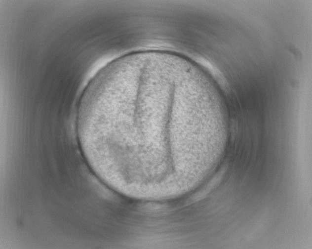 X0000115061374200911231205