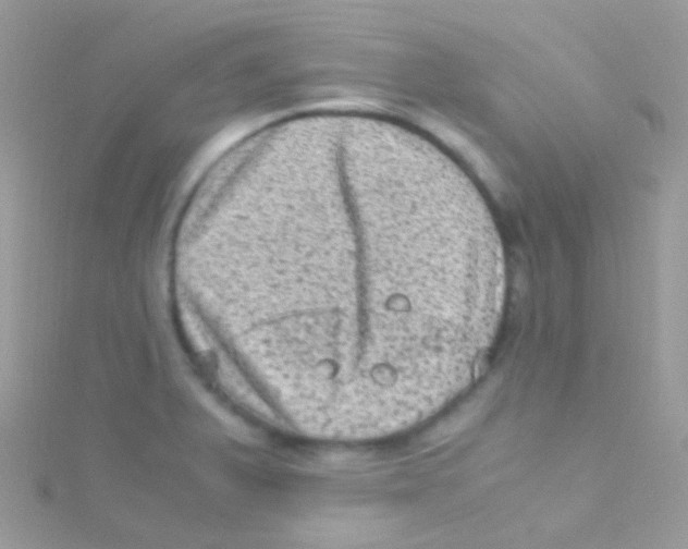 X0000115061375200911231205