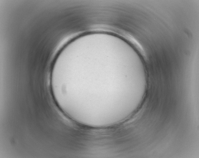 X0000115061376200911231205