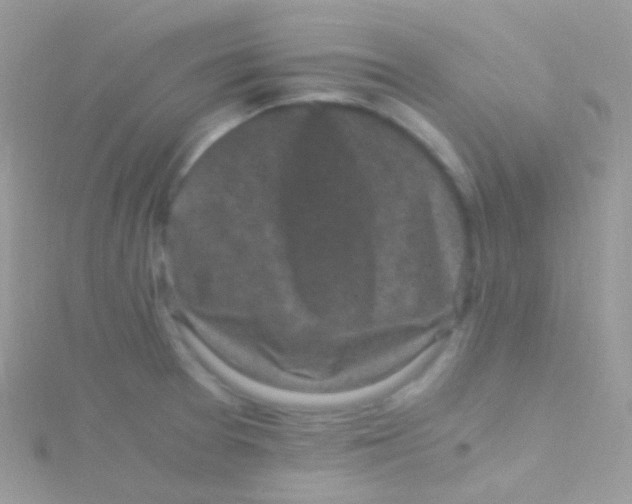 X0000115061377200911231205