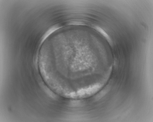 X0000115061378200911231205